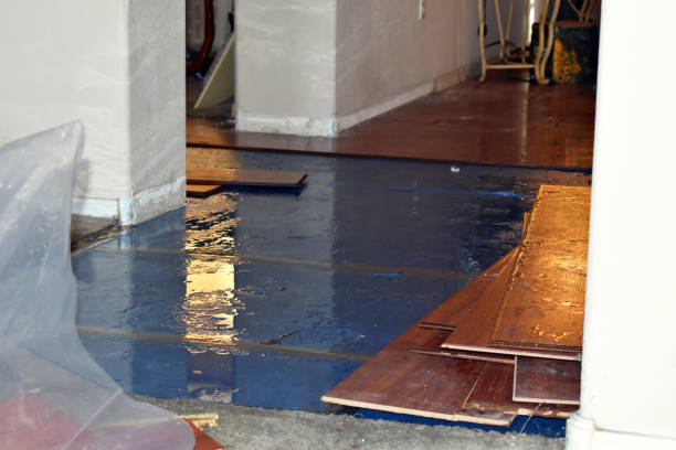 Professional Burst Pipe Cleanup technician working in Sandy Lake, PA